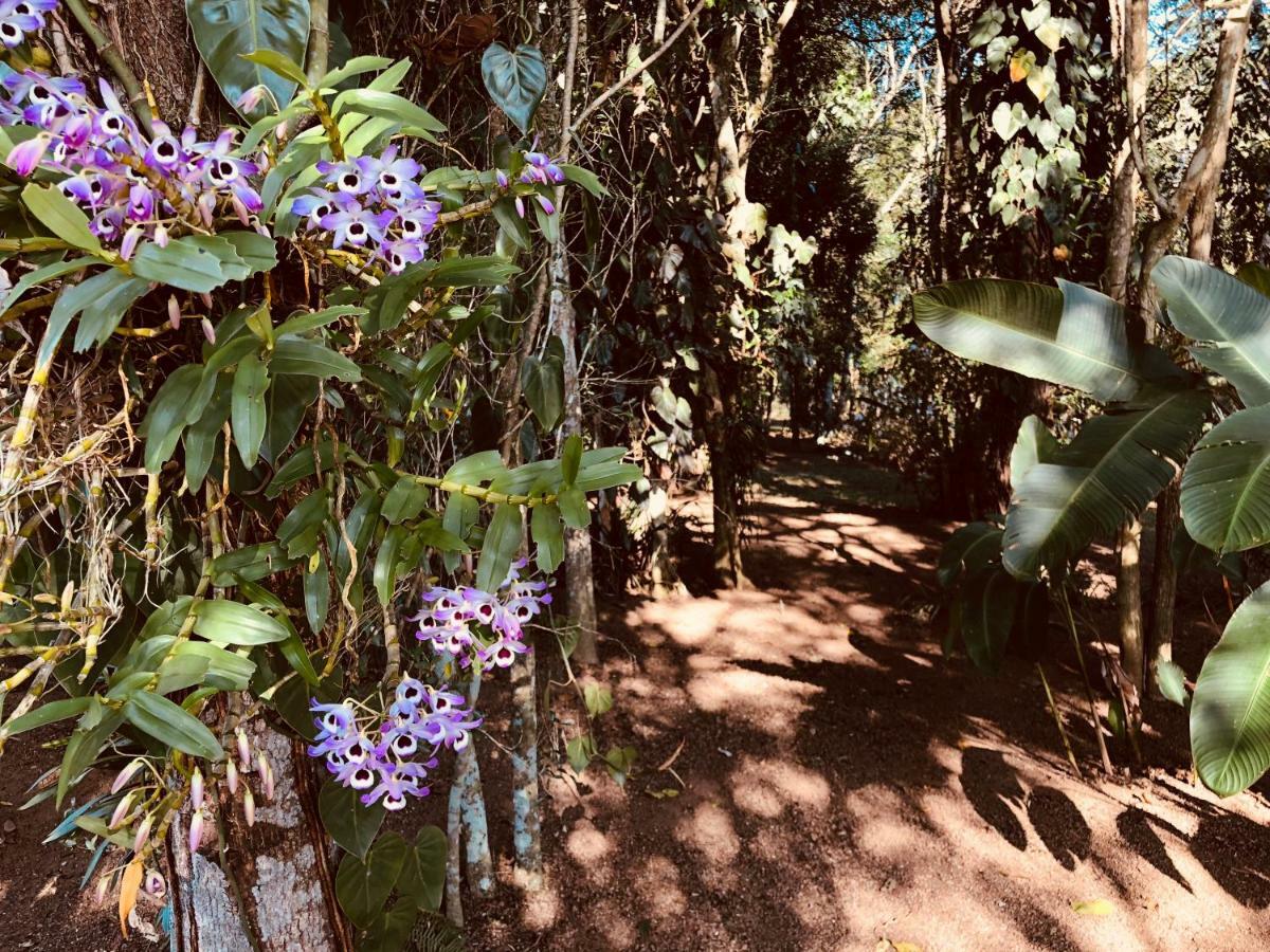 Chácara Quinta dos Esquilos Vila Cotia  Exterior foto